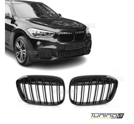 Performance priekinės grotelės skirtos BMW F48 X1 (15-19)