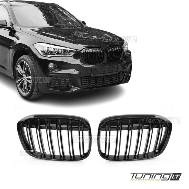 Performance priekinės grotelės skirtos BMW F48 X1 (15-19)