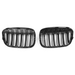 Performance priekinės grotelės skirtos BMW F48 X1 (15-19)