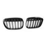 Performance priekinės grotelės skirtos BMW F48 X1 (15-19)