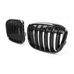 Performance kidney grill for BMW F48 X1 (15-19)