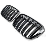 Performance kidney grill for BMW F48 X1 (15-19)