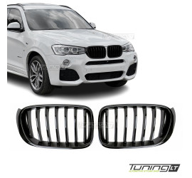 Priekinės grotelės tinkančios BMW X3 F25 LCI / X4 F26,...