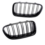 Performance kidney grille for BMW F10 / F11, glossy black