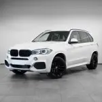 Performance priekinės grotelės skirtos BMW F15 X5 / F16 X6 (14-19), dvigubos blizgios
