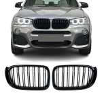 Performance priekinės grotelės tinkančios BMW X3 F25 LCI / X4 F26, dvigubos