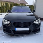 Performance kidney grille for BMW F20 / F21 (11-15), glossy black