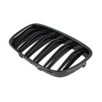 Performance grotelės skirtos BMW F07 Gran Turismo (09-17), dvigubos blizgios
