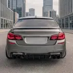 OLED Galiniai Žibintai, komplektas skirtas BMW F10 sedan (10-17)