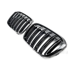 Performance kidney grill for BMW F48 X1 (15-19)