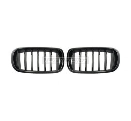 Kidney grille for BMW F15 X5 / F16 X6 (14-18), glossy black 