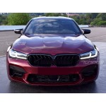 Performance kidney grille for BMW G30 / G31 LCI (21-), glossy black