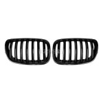 Kidney Grille for BMW X5 E53 LCI (04-06), glossy black