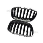 Kidney Grille for BMW X5 E53 LCI (04-06), glossy black