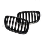 Kidney Grille for BMW X5 E53 LCI (04-06), glossy black